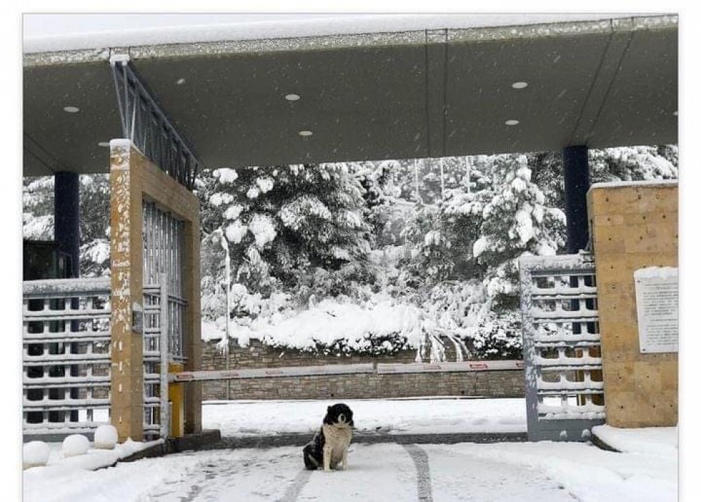 Announcement concerning the operation of our athletic facilities (2/1/2022).